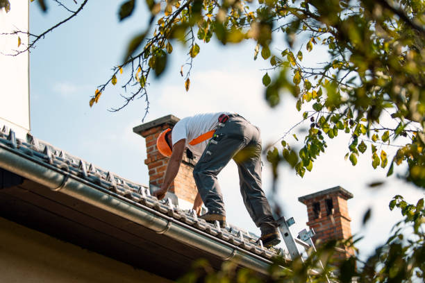 Best Residential Roofing Contractor  in Hiawatha, KS