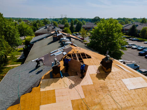 Best Storm Damage Roof Repair  in Hiawatha, KS